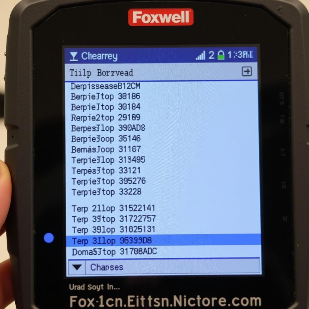 Read more about the article How to Read Foxwell Codes: A Comprehensive Guide