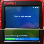 How to Clear Codes Using Foxwell NT301