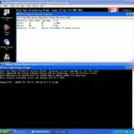 Western Digital Lifeguard Diagnostic Tools Windows 7: A Comprehensive Guide